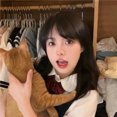 萌犬流浪记